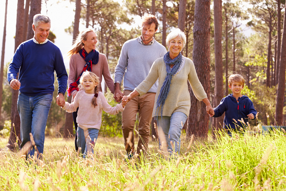 What is a health cash plan